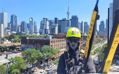 Quarterly Newsletter – July 2025 – Signs, Movies and Ladders